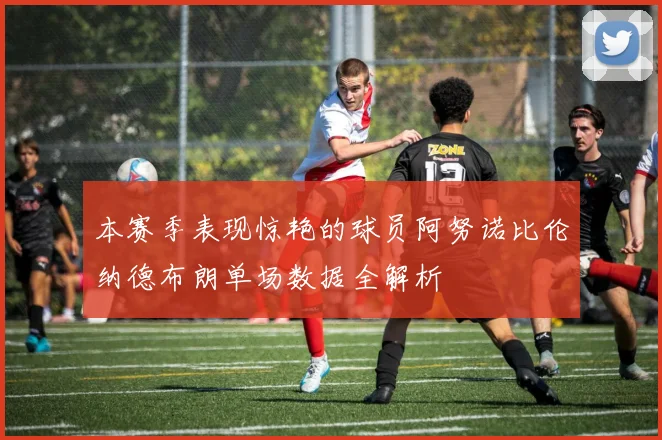 本赛季表现惊艳的球员阿努诺比伦纳德布朗单场数据全解析