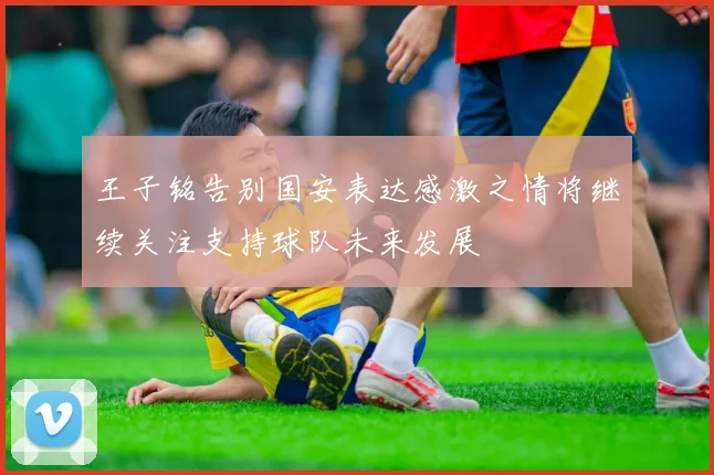 王子铭告别国安表达感激之情将继续关注支持球队未来发展